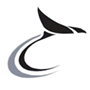 BlackbirdSql DDEX and SqlEditor for Firebird